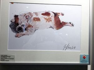 Bulldogge von Jonas Lauströer